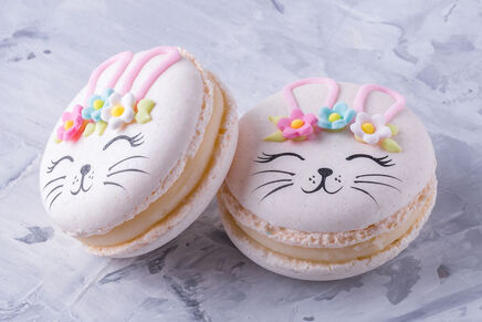 Macarons cu decor IEPURAȘ 3